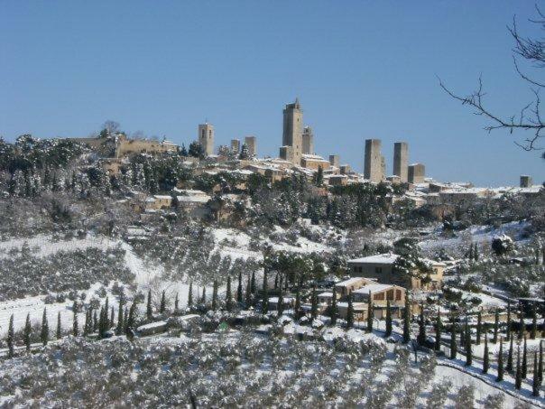 Residenza D'Epoca Palazzo Buonaccorsi Hotel San Gimignano Eksteriør billede
